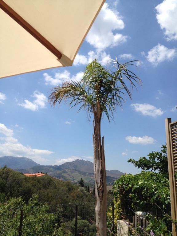 Villa Bougainvilliers Banyuls-sur-Mer Room photo